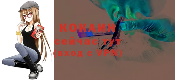 шишки Волоколамск