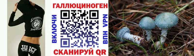 Галлюциногенные грибы Psilocybe  гидра сайт  Ермолино  магазин продажи  